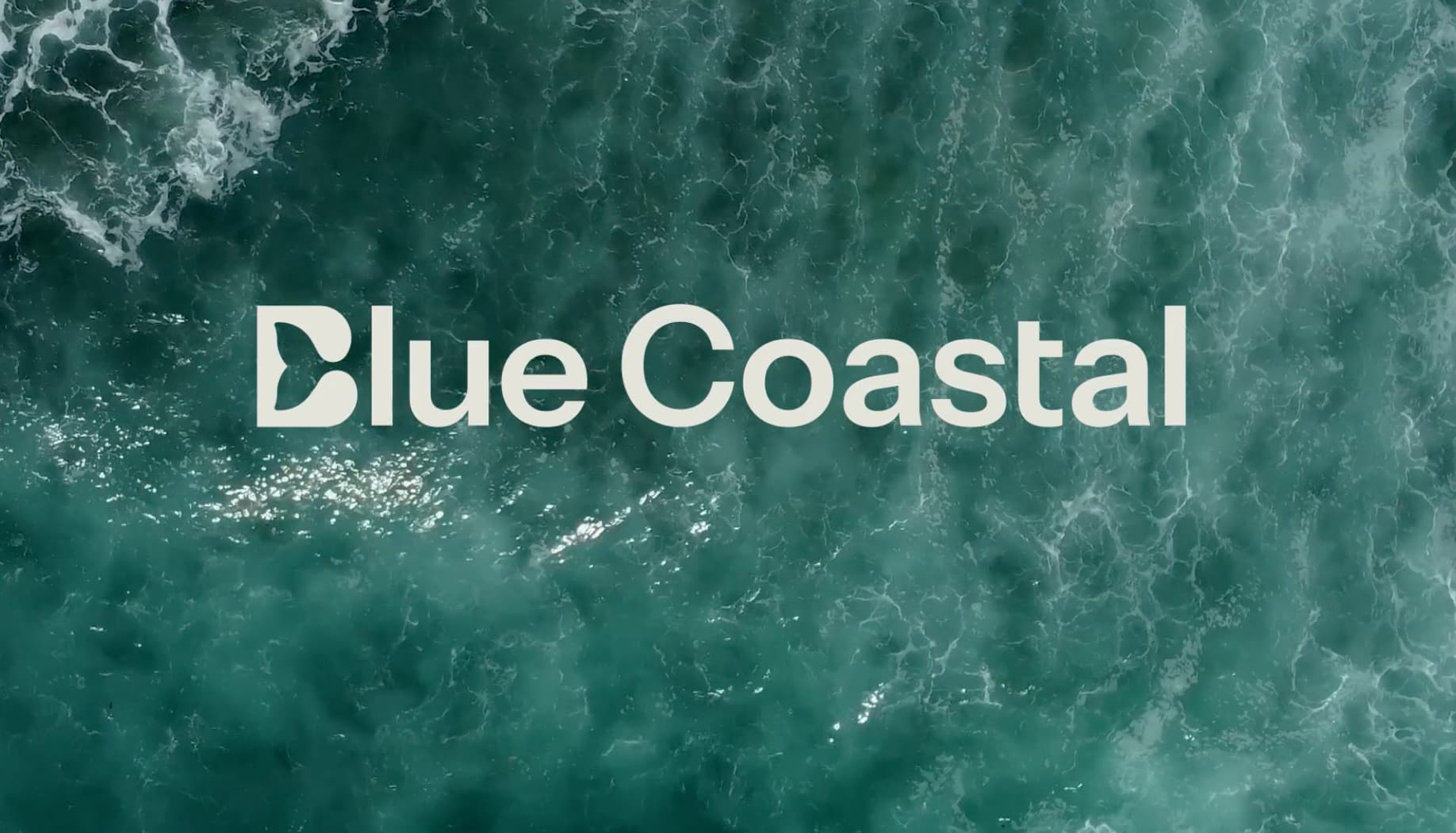 Logo Trends Rising During 2024