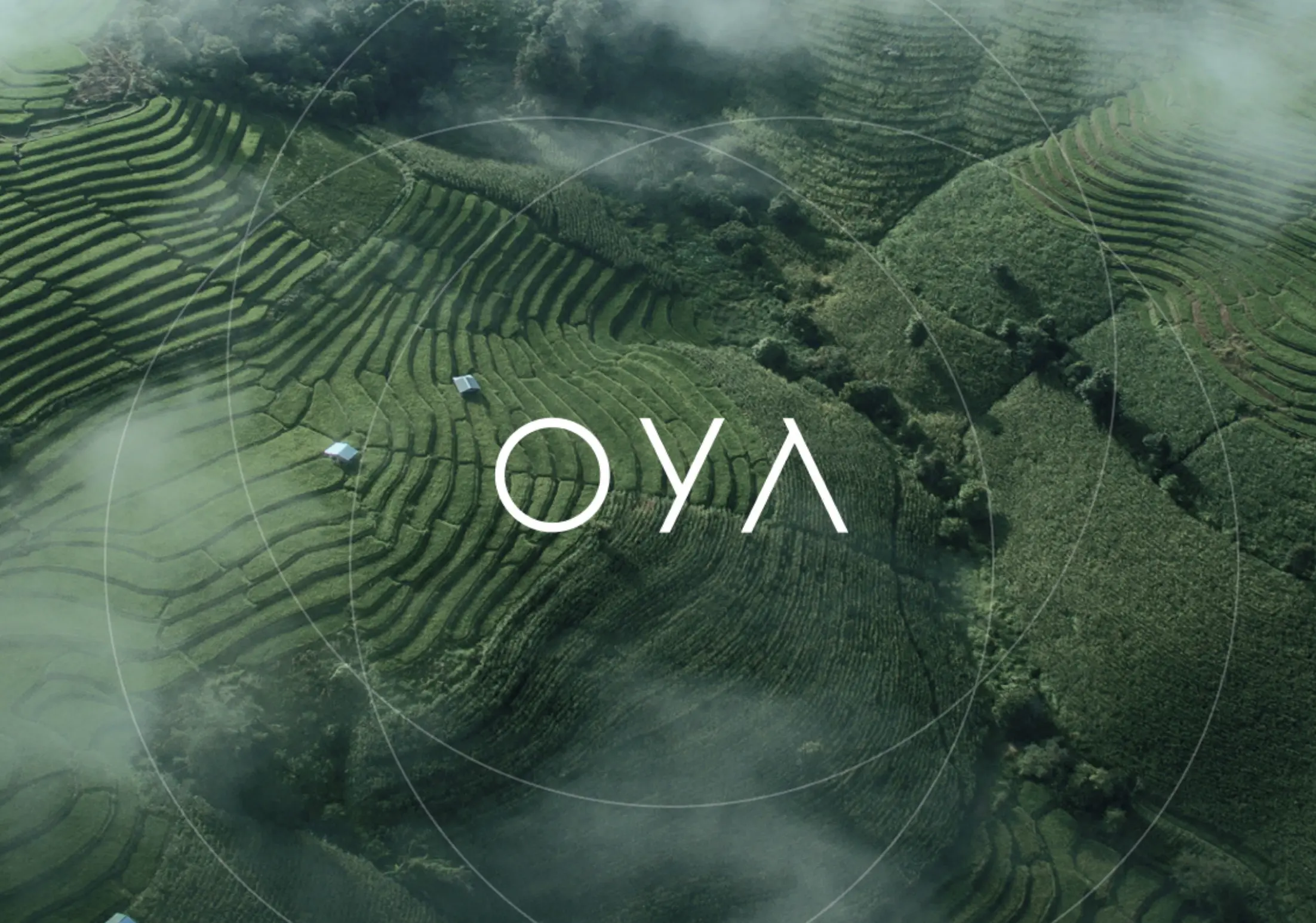 OYA web design project portfolio web design agency in Dubai