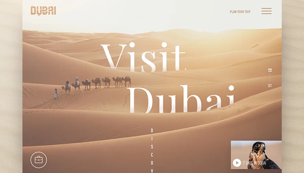 Web Design and Development Services