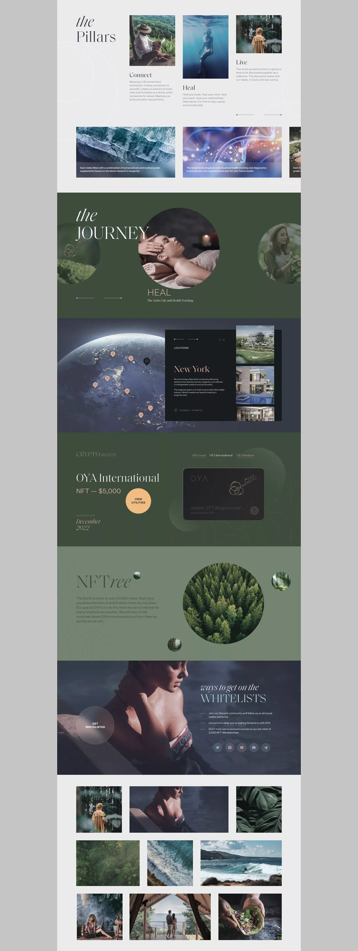 Crypto website design and development OYA project